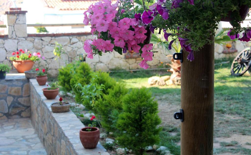 Destina Hotel Tenedos Buitenkant foto